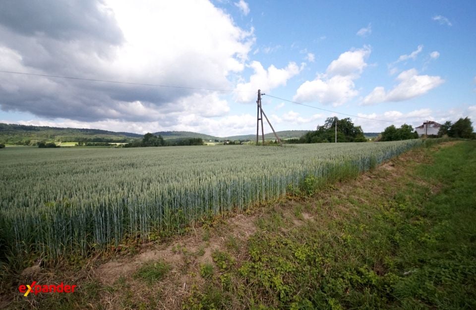 Działka usługowa Fredropol
