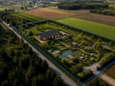 Działka Cetula