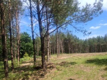 Działka Klukowa Huta