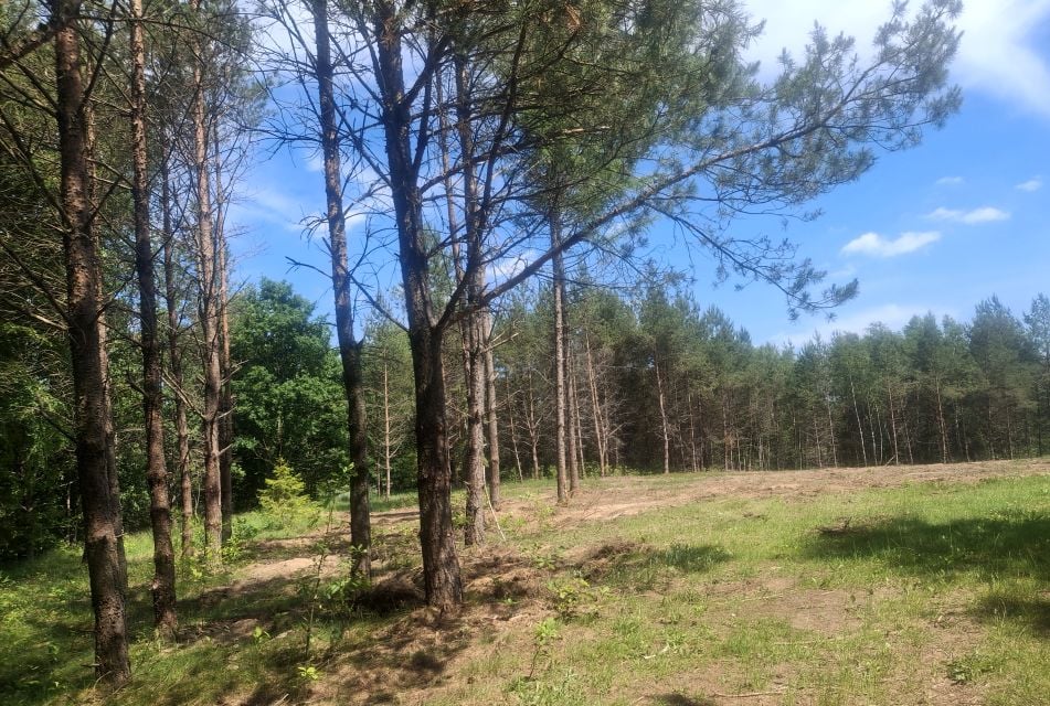 Działka Klukowa Huta