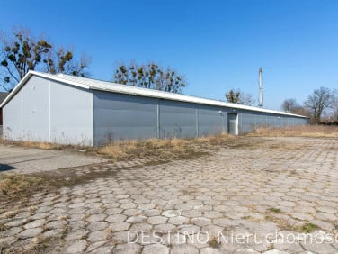 Budynek użytkowy Kalisz