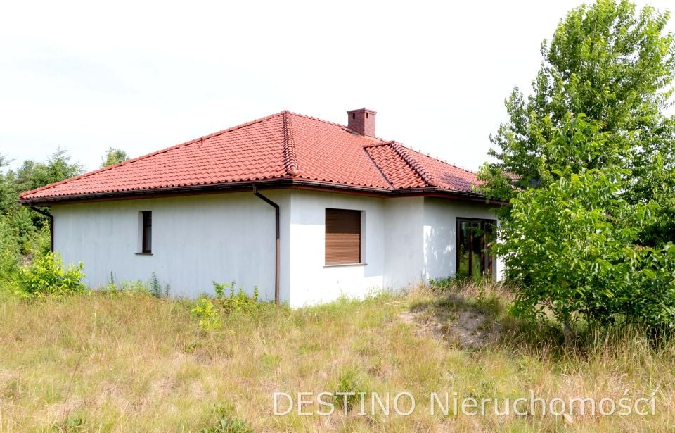 Zdjęcie 3
