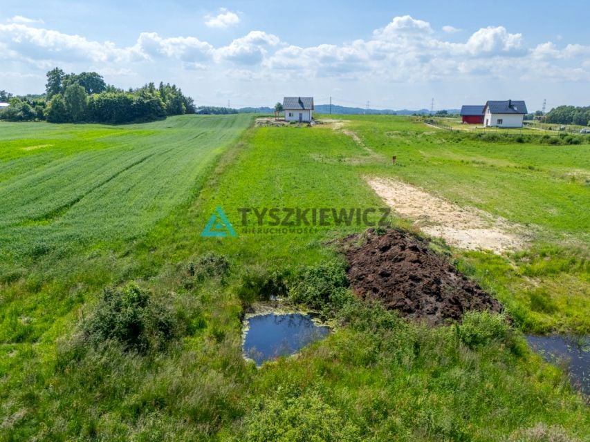 Zdjęcie 3