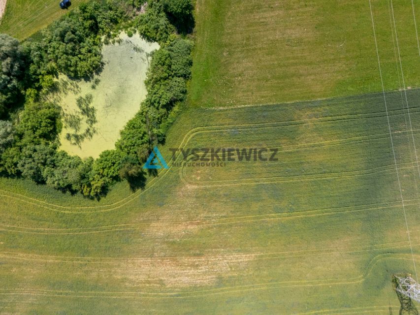 Zdjęcie 3