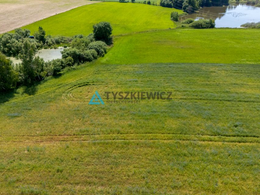 Zdjęcie 2