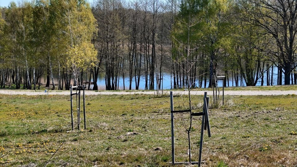 Działka budowlana Dziki