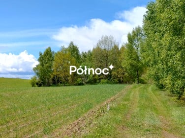 Działka przy lesie