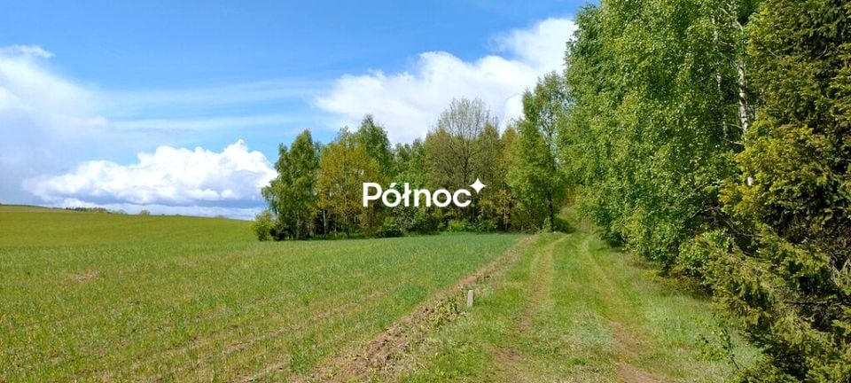 Działka przy lesie