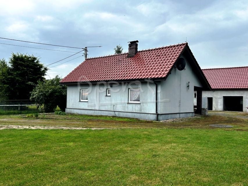 Zdjęcie 3