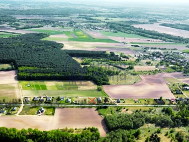 Działka Oleśniczka