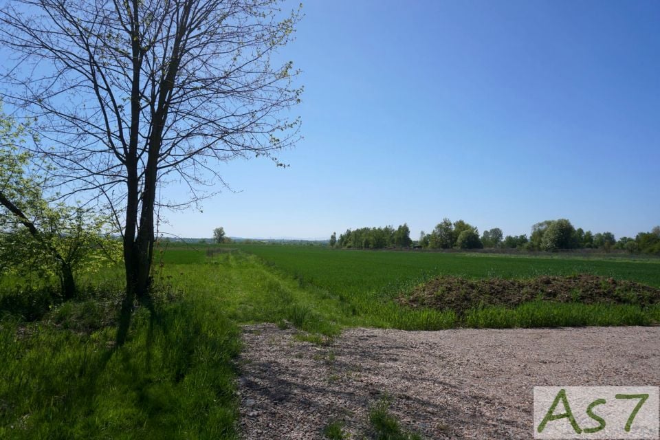 Działka rolna Wołowice