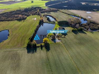 Dom Wielki Klincz sprzedaż