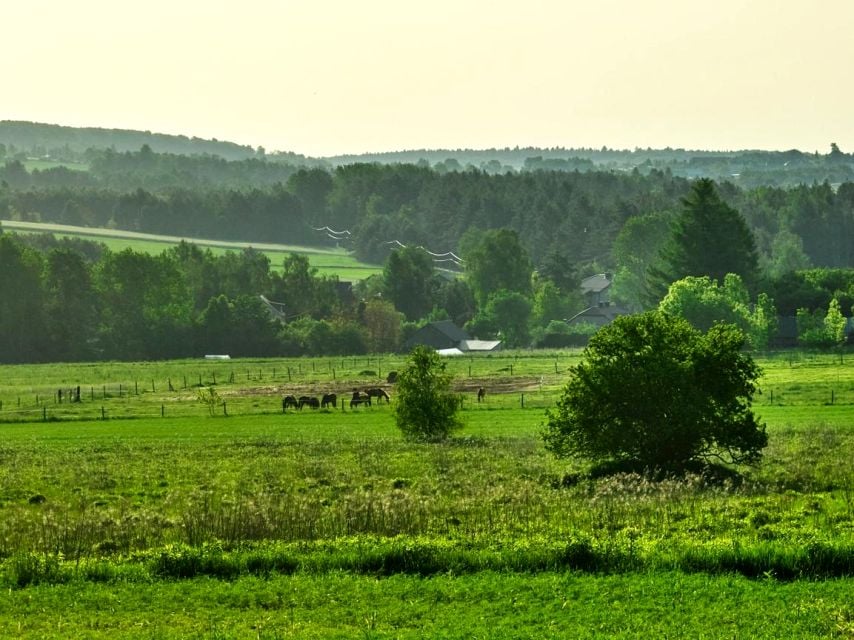 Działka Kiełkowice
