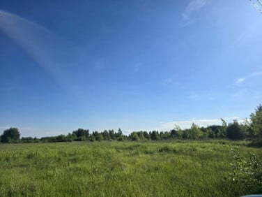 Działka budowlana Nowe Lipiny