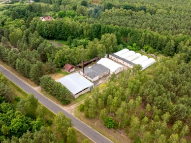 Działka przemysłowa Miały