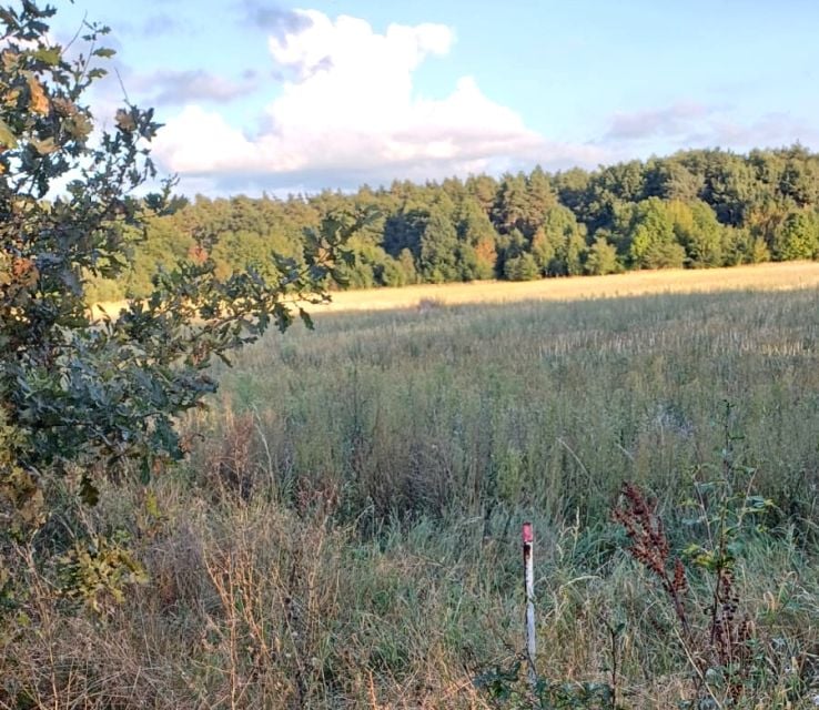 Działka Karczów