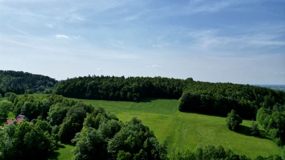 Zdjęcie 2