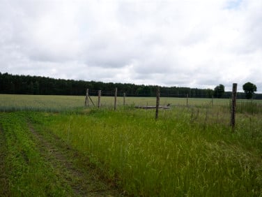 Działka budowlana Budziszewko