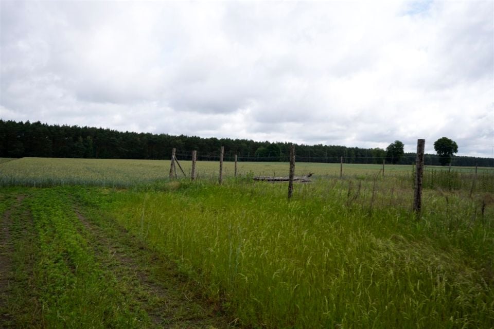 Działka budowlana Budziszewko