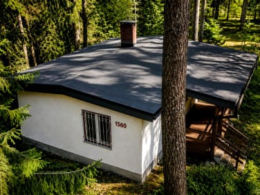 Działka leśna Wilga