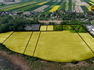 Działka rolna Krupe