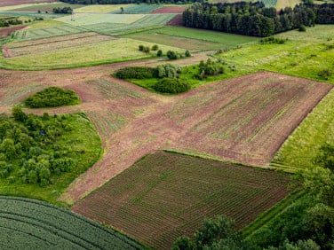 Działka Palikówka
