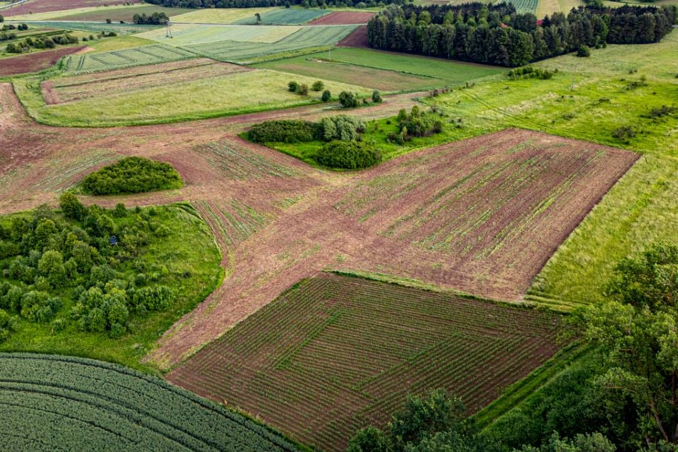 Działka Palikówka