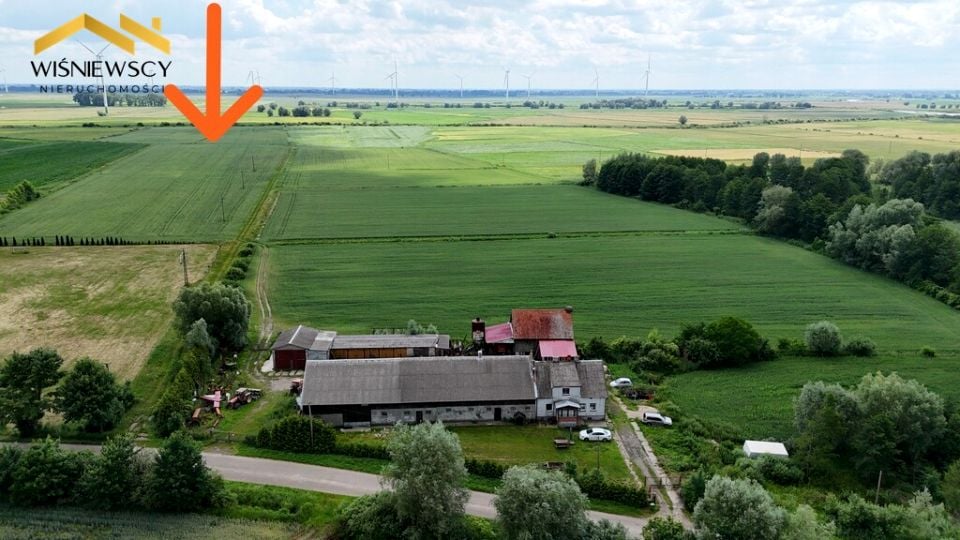 Działka siedliskowa Świerznica