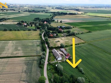 Działka siedliskowa Świerznica