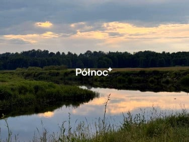 Działka Krzewo