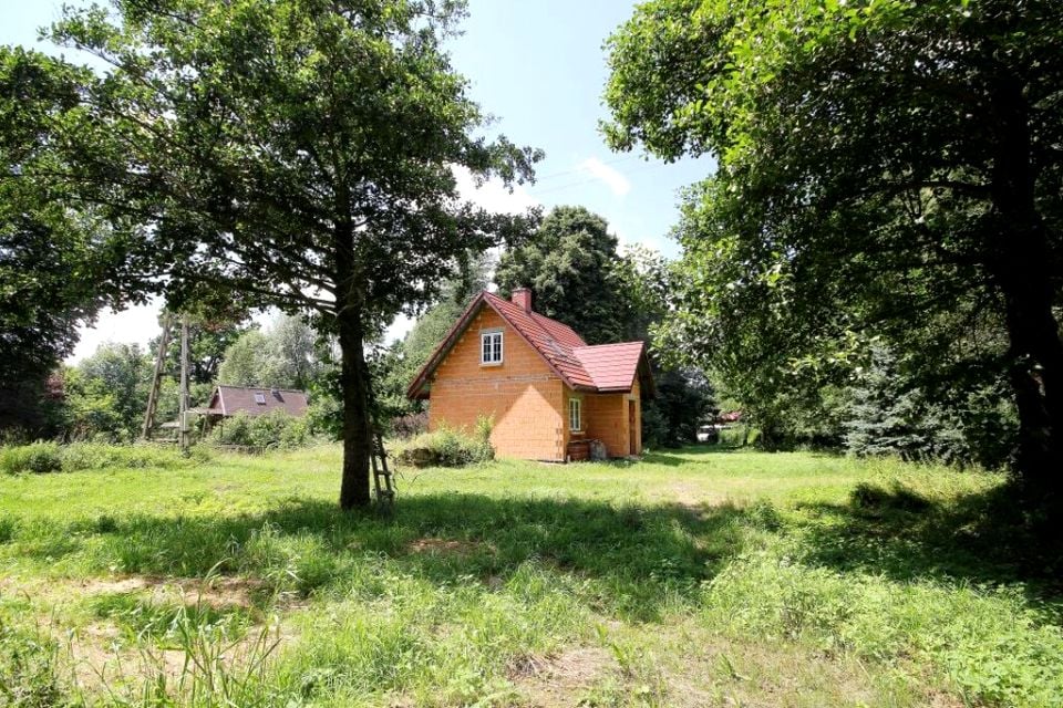 Zdjęcie 3