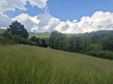 Działka Brenna