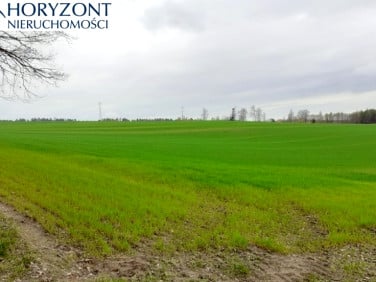Działka Borcz