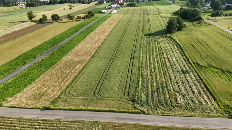 Działka rolna Żelisławice