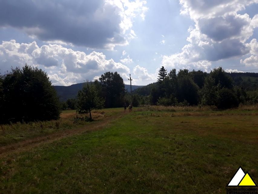 Działka Świeradów-Zdrój