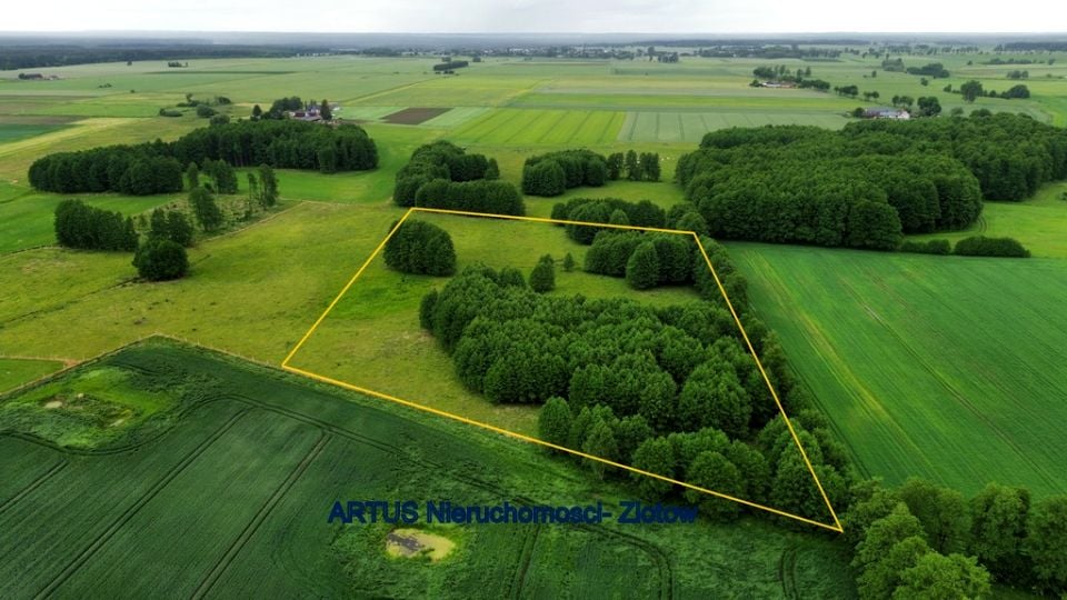 Działka Sokolna