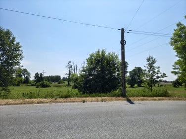 Działka Stary Pilczyn