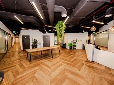 Lokal Wrocław
