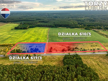 Działka rolna Torzym