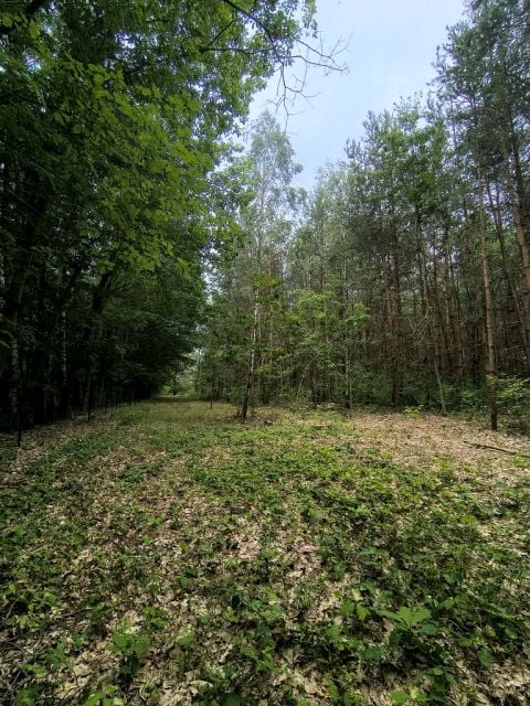Działka Sokolniki-Las