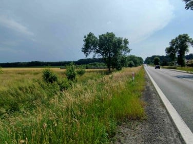 Działka usługowa Wilcza