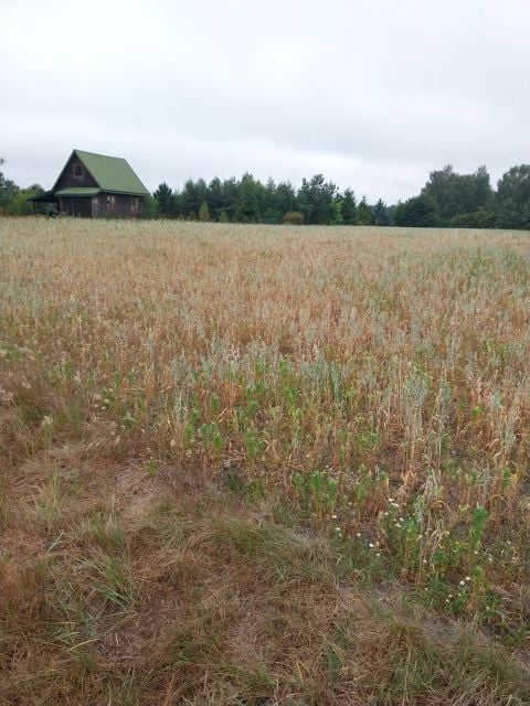 Działka budowlana Krasne