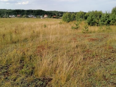 Działka Koleczkowo