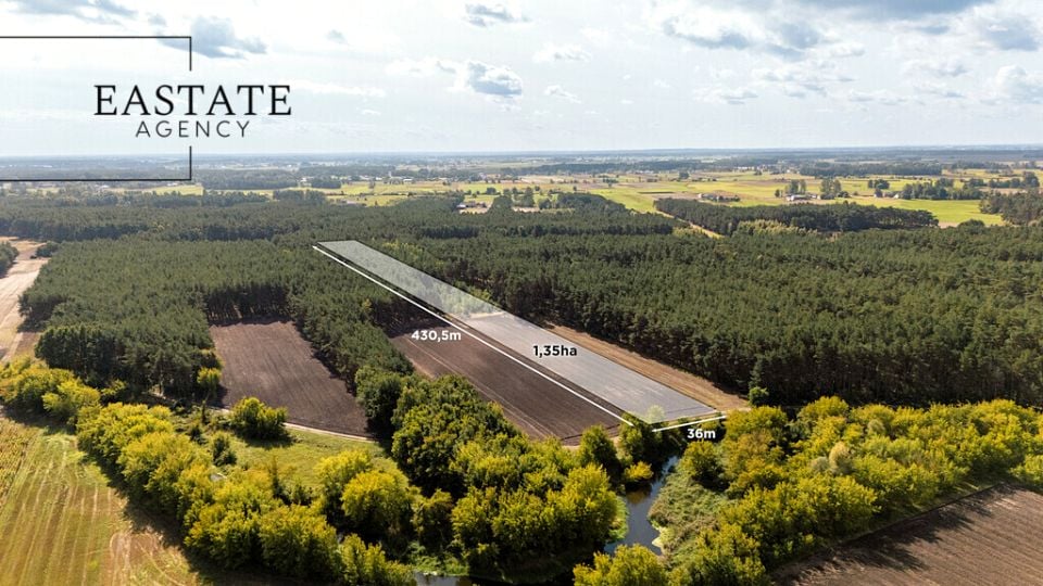 Działka leśna Maurzyce