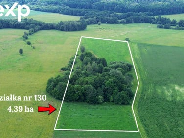 Działka rolna Goworów