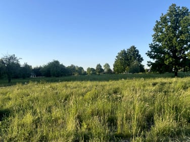 Działka budowlana Ojrzanów