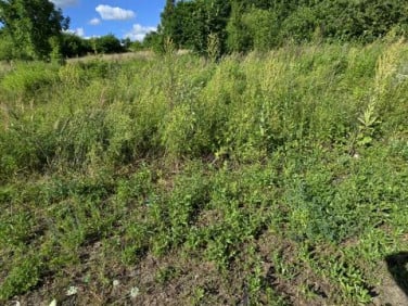 Działka budowlana Sosnowiec