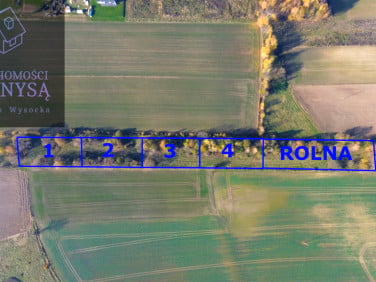 Działka Trójca