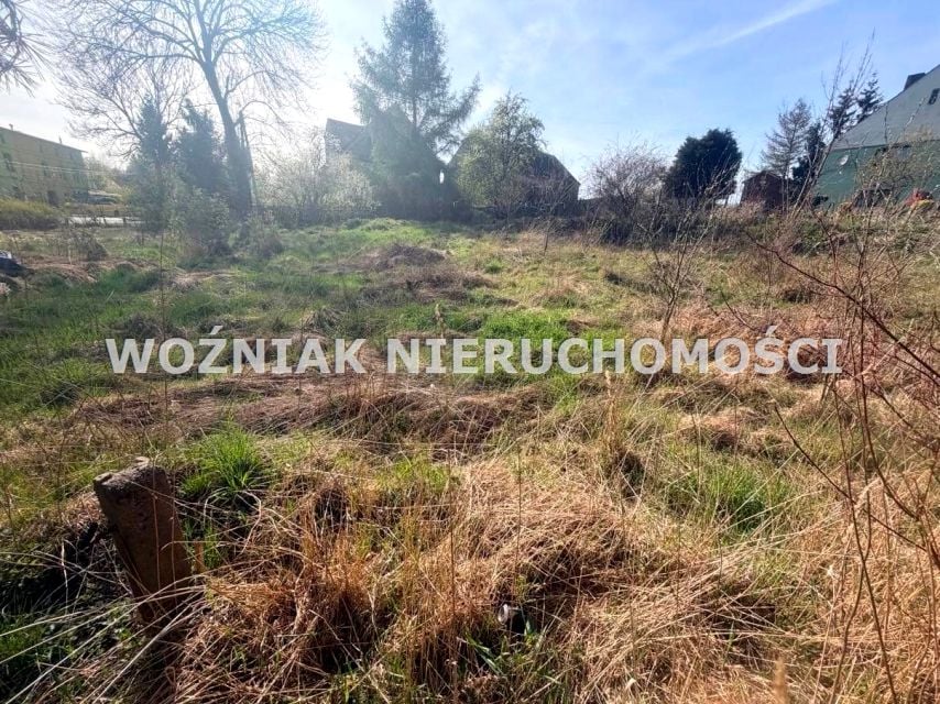 Zdjęcie 3