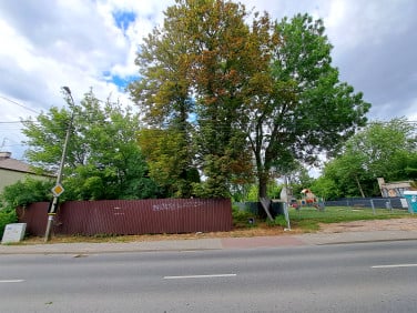Działka Łazy